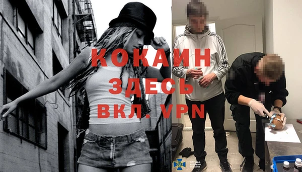 кокс Алзамай